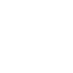 Salamander Designs