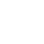 The Scylla Group verified Framer Partner